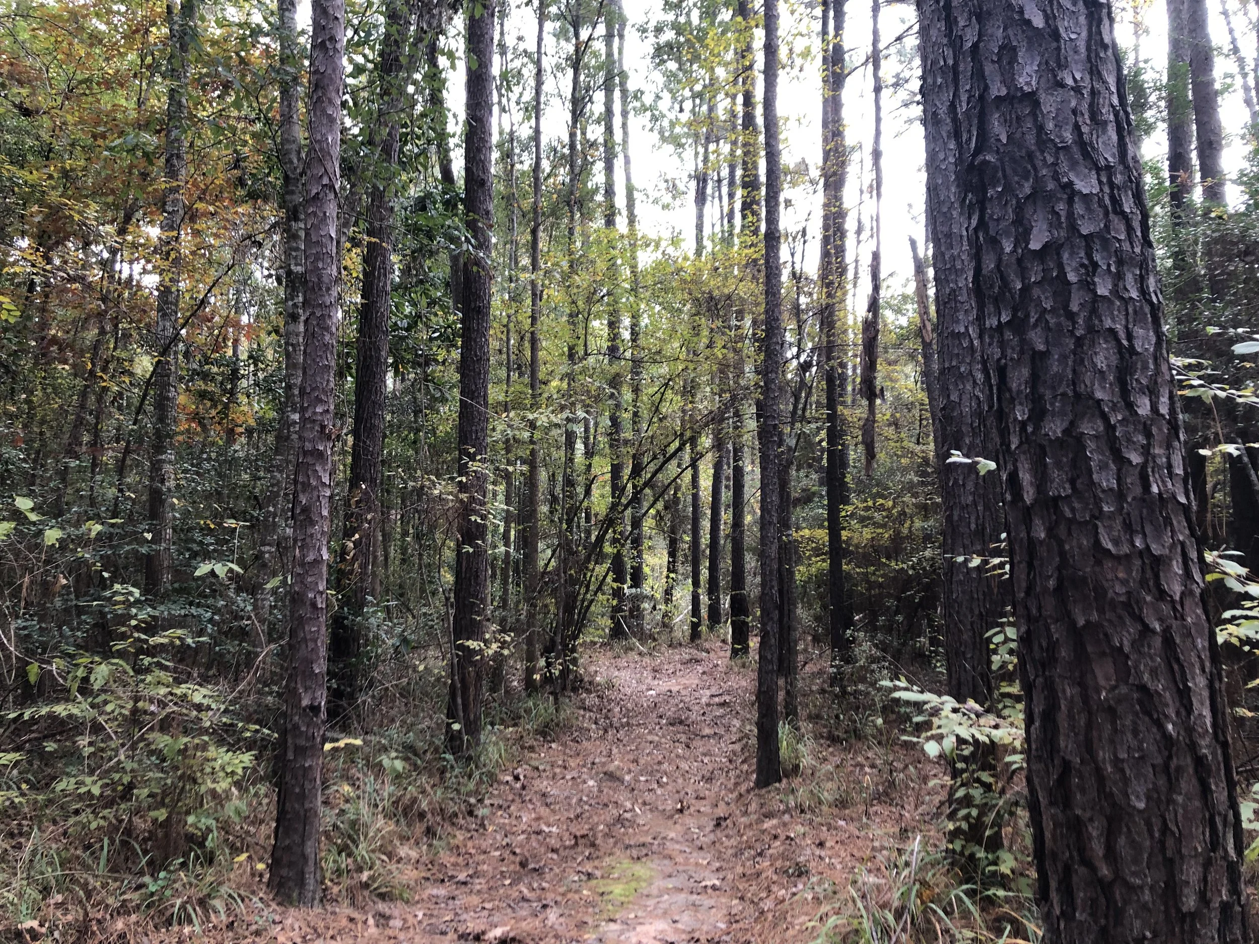 Day Fourty-One — photo 1