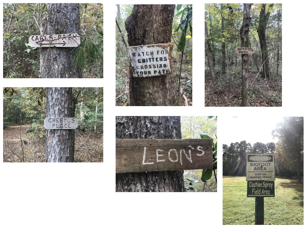 Day Fourty-One — photo 2